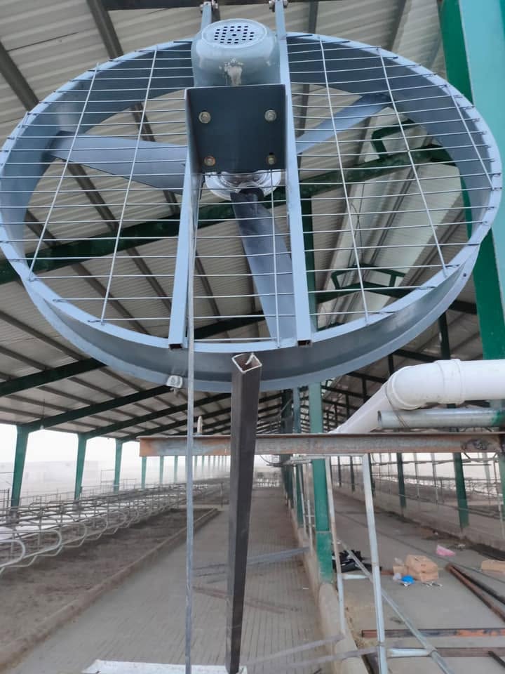Large shed fan from inside